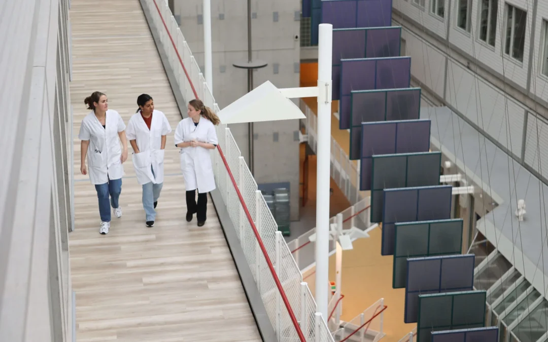 DJS roept politiek op om niet te korten op opleidingsfinanciering van aios